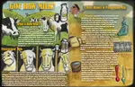 Raw_Milk.jpg Raw_Milk.jpg
