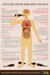 Soft_Drinks_&_Your_Health.png Soft_Drinks_&_Your_Health.png