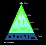 The_Food_Chain.jpg The_Food_Chain.jpg