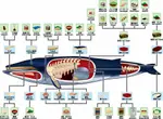 Whale_Parts.jpg Whale_Parts.jpg