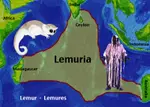 lemurs.jpg