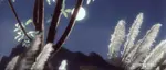 ysg4k6xhgwo.png