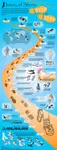 History_of_Shoes_B.jpg History_of_Shoes_B.jpg