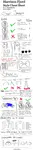 Style_Cheatsheet.jpg Style_Cheatsheet.jpg