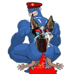 mueogp5r2qr.png