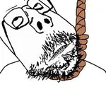 images (51).jpeg