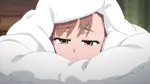 mjqrd1k81dp.png