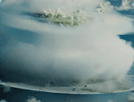 1642637754576.webm