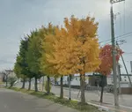 ka36khg0fq9.jpeg
