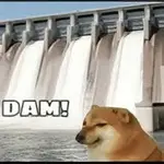 images (13).jpeg