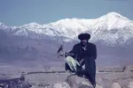 8-Hindu-Kush-Falconer-1971-scaled-1.jpg