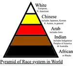 racial_system copy.png racial_system copy.png