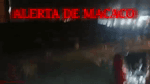 alerta de macaco.mp4 alerta de macaco.mp4