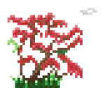 palash_tree2.gif
