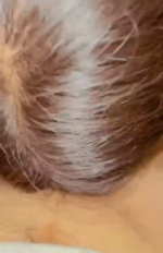 59h2rrge3gc.MP4