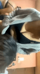 5_6221906782827057564.mp4