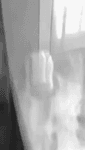 5_6172473405762179536.mp4