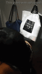91dkldu5m7.mp4