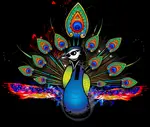 morr bnn ke udunga..png