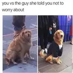 kn8w6dmdbtl.jpeg