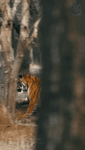re2w11f404h.mp4 re2w11f404h.mp4