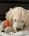 ebd8ed3b8fd7806d.mp4