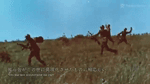 TAC93cf531blsBlZ.mp4