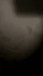 1745668795024709.webm