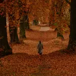 1077170798.webp 1077170798.webp