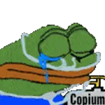 cope-pepe.gif cope-pepe.gif