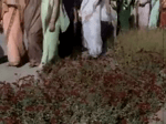 1sng18hbort.mp4