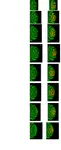 4vditr21z9i.png