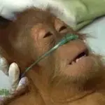 0v3bxtma3m6d.jpg