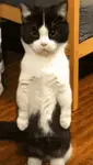 ch130nxq5fv.gif