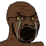 erlk5otlxr.png