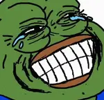 c8nkthq7icl.gif