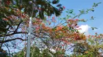 IMG_20230504_161401239.jpg