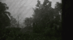 document_6055429778805101419.mp4 document_6055429778805101419.mp4
