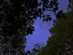 IMG_20250507_202839.jpg