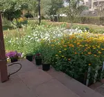 yrsj7515j4b.jpg yrsj7515j4b.jpg