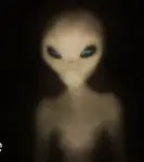 via5tm8a64b.png