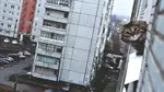 1705191555944896.jpg