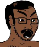 images (11).jpeg